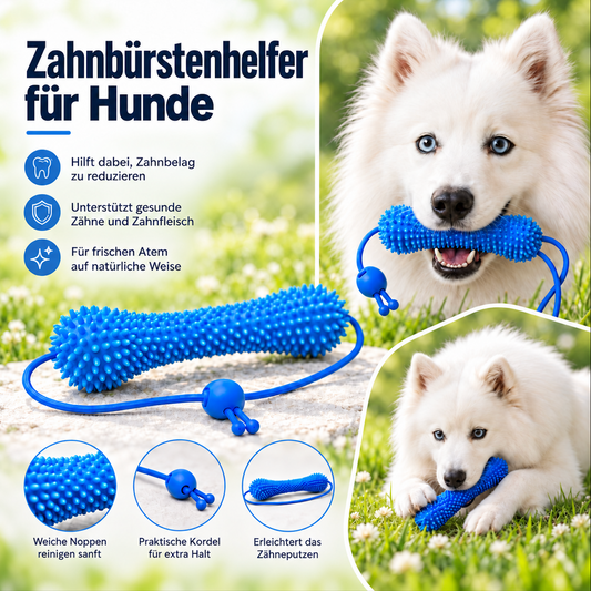 Zahnbürsten-Helfer für Hunde